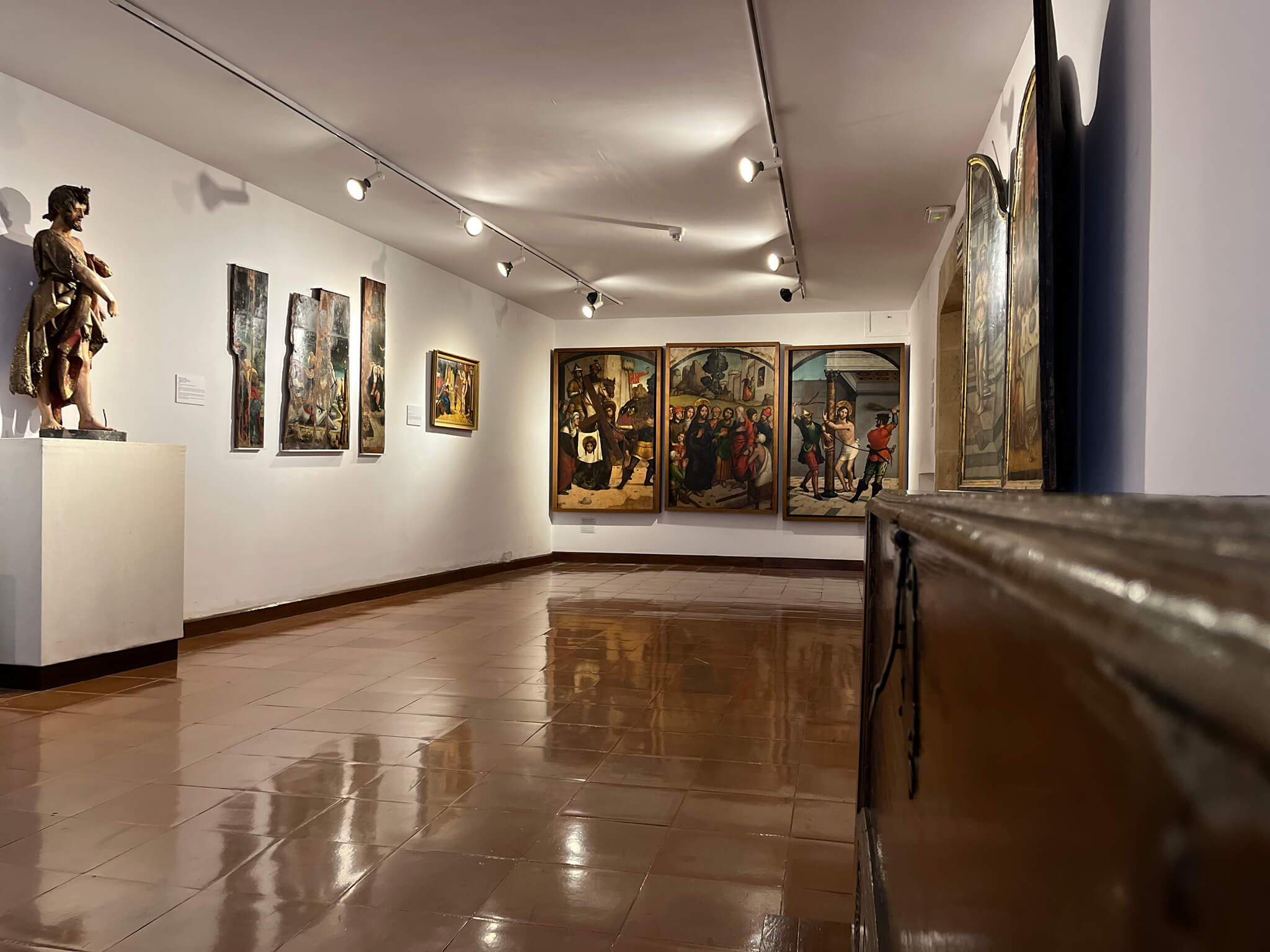 Visita Museo De Salamanca